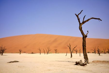 namibia deadvlei