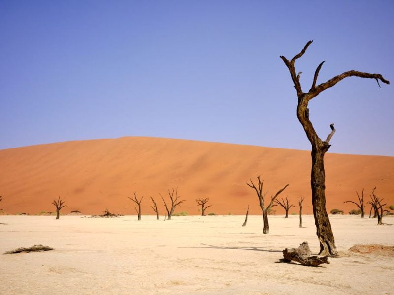 namibia deadvlei