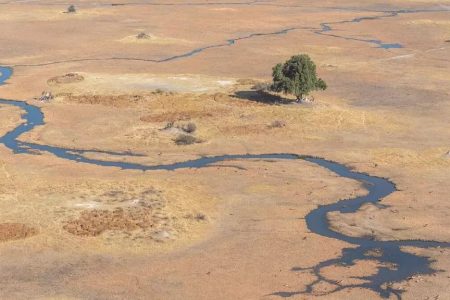 okawango delta