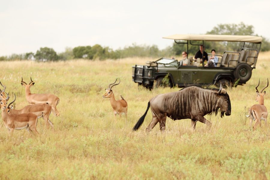 South Africa Explorer – GROUP TOURS