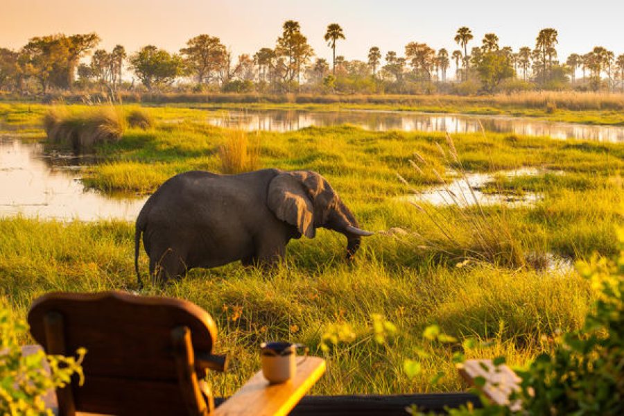 Botswana fly-in Safari